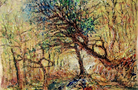chemin au dessus du pont du diable