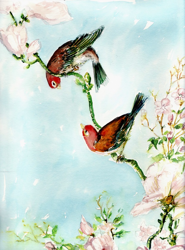 couple d'oiseaux