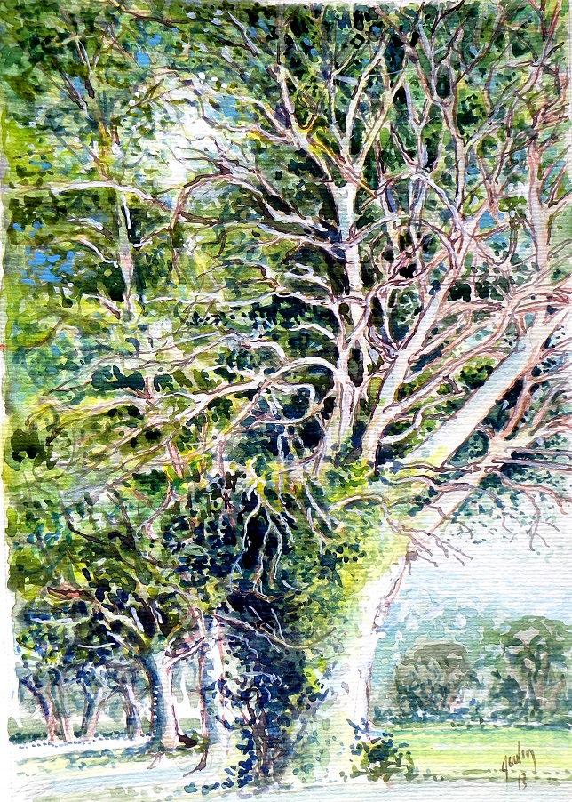 l'arbre