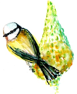 oiseau