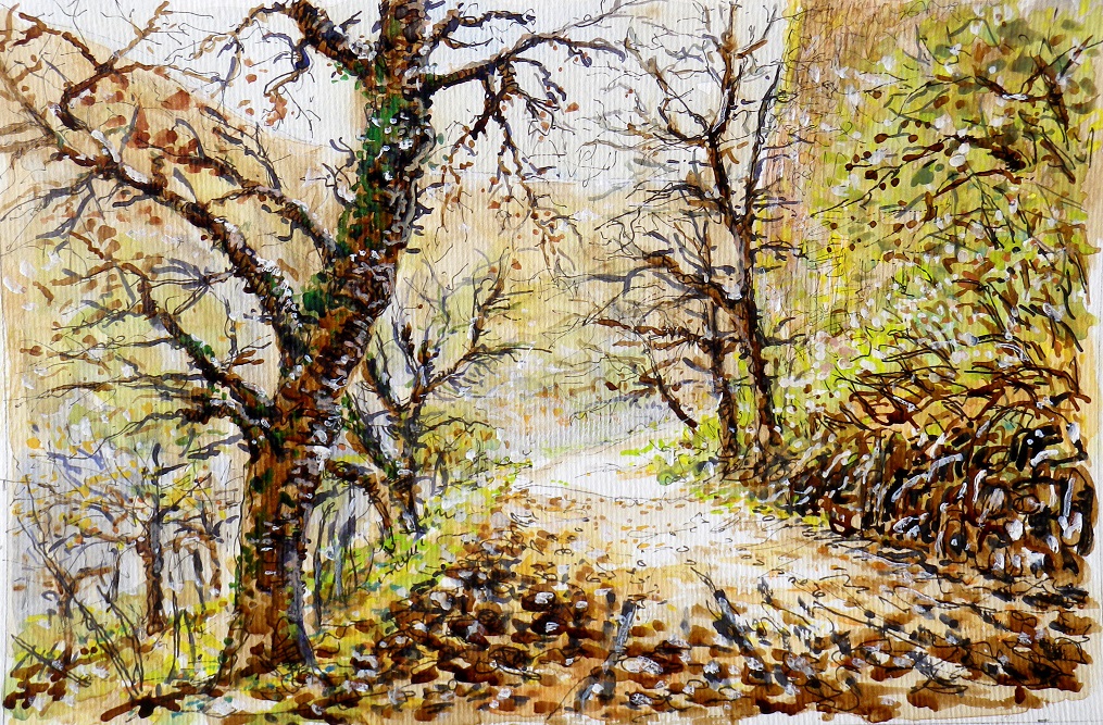 promenade gorges de la chaussée des géants