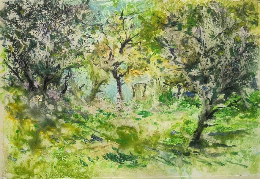 granulation sur paysage